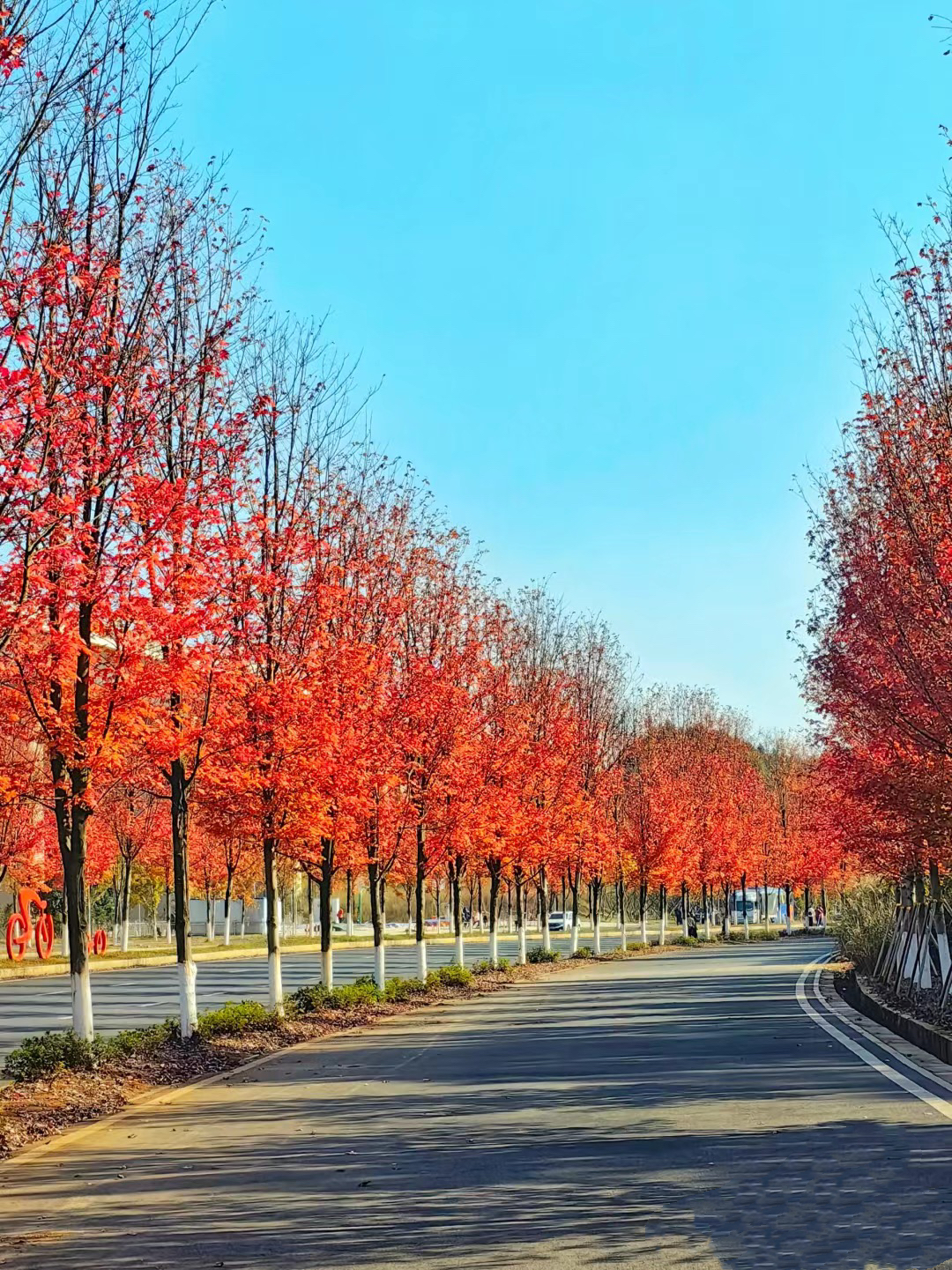已使用 益陽(yáng)網(wǎng)紅大道，圖源于紅網(wǎng).jpg