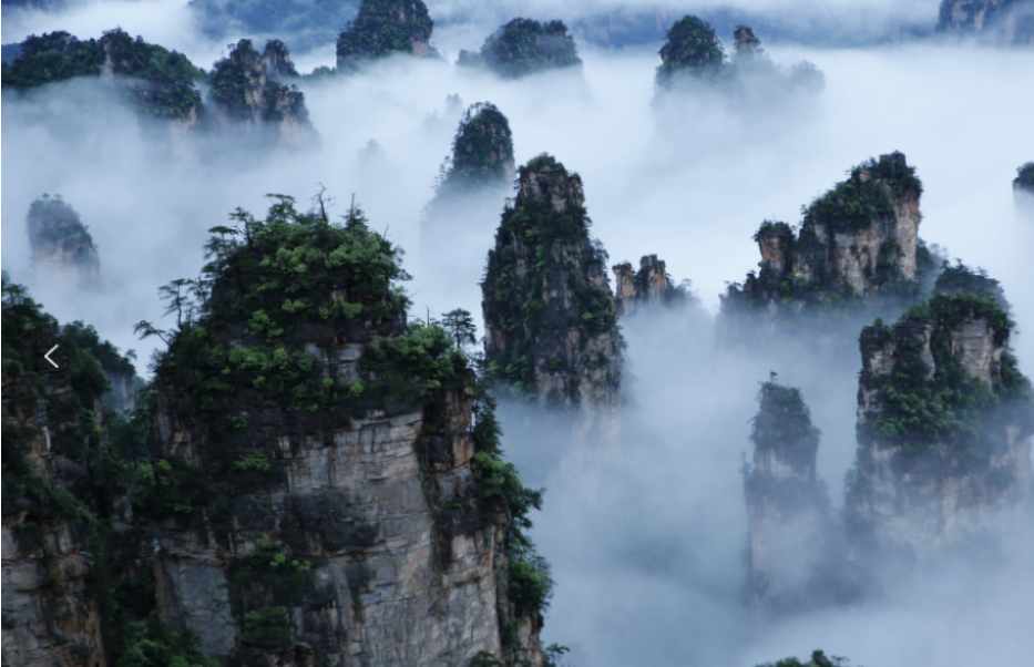 康養(yǎng)游大勢(shì)已至，張家界武陵源區(qū)點(diǎn)“藥”成金