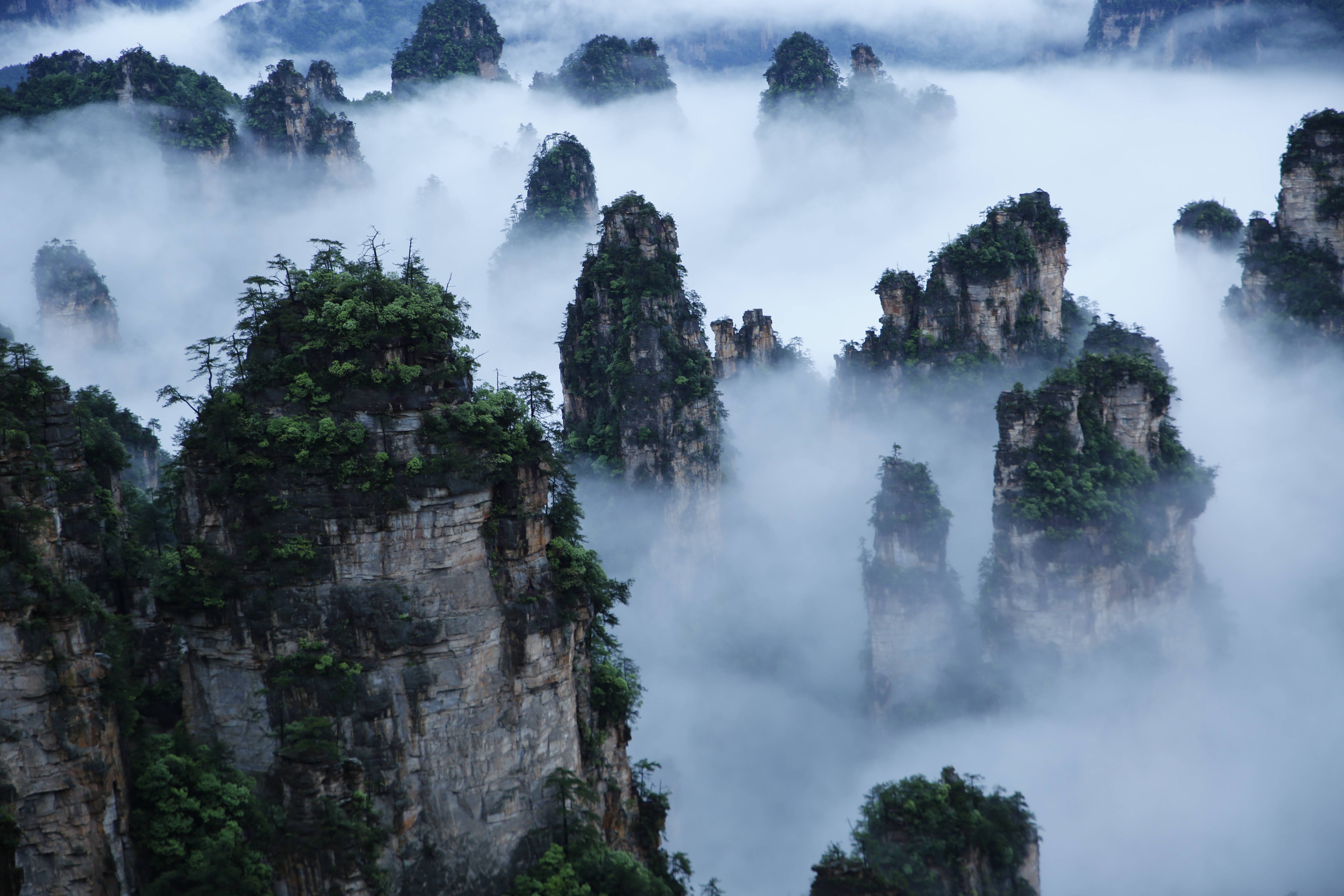 武陵源景區(qū)天子山云海，圖源：湖南日報.jpeg
